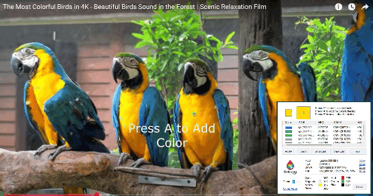 colorang