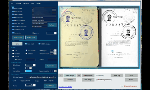 traceframe